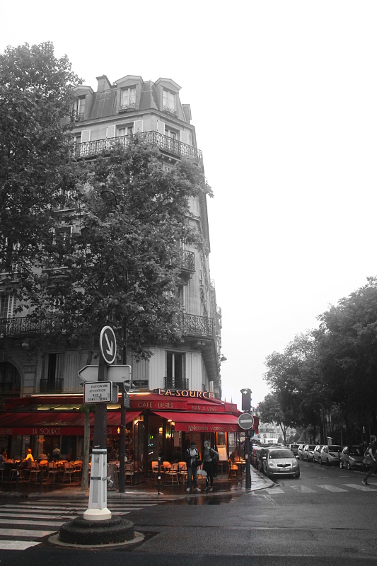 Coloreado selectivo 2